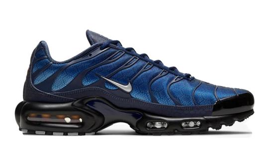 Air Max Plus Sneakers - Blue