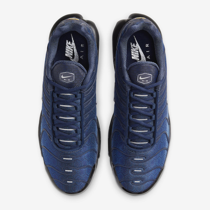 Air Max Plus Sneakers - Blue