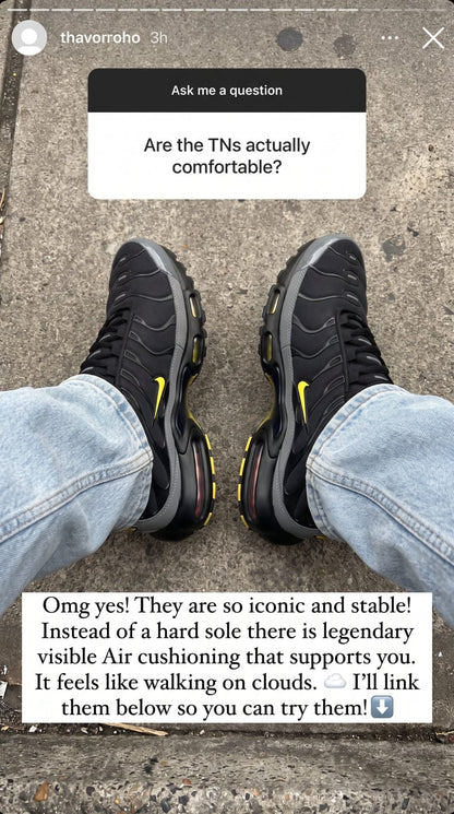 Air Max Plus Sneakers - Grey