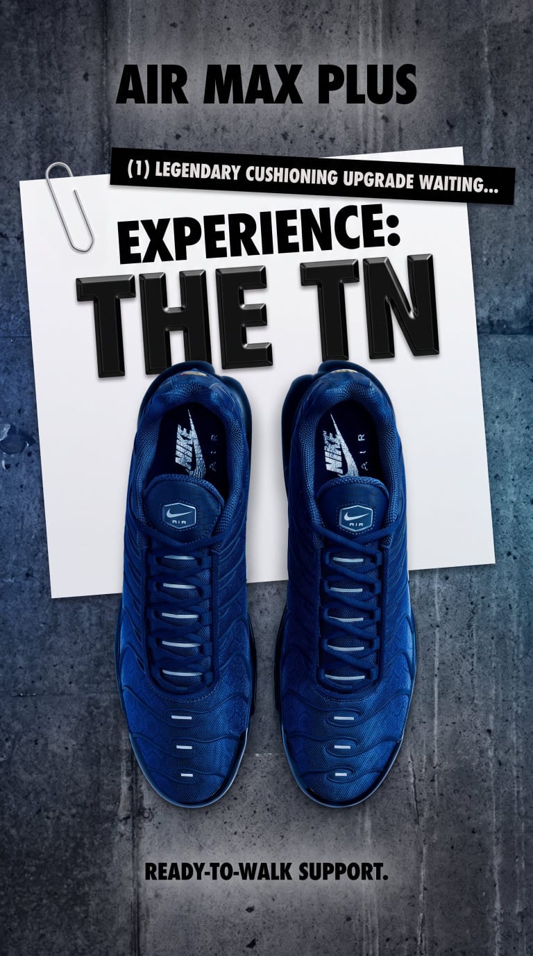 Air Max Plus Sneakers - Blue