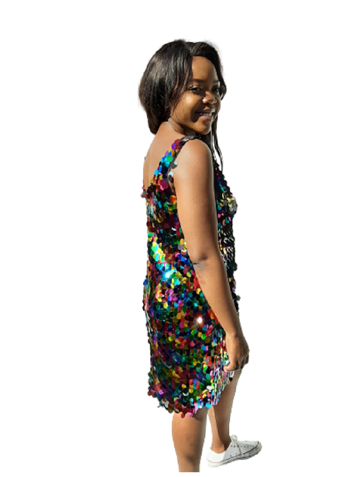 Dazzle Dress - Multicolour