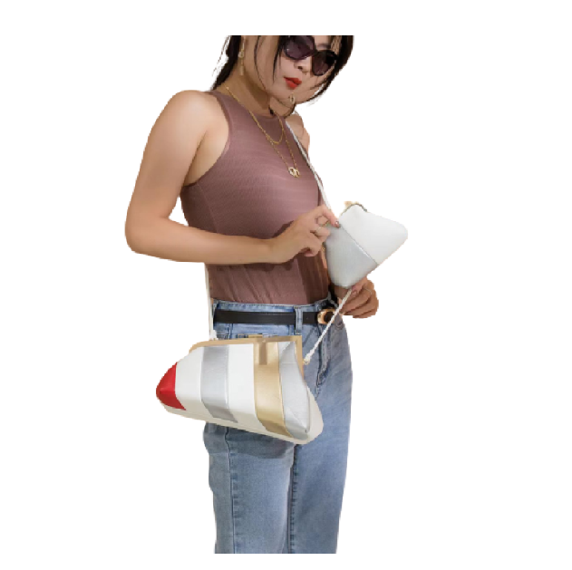 Moena Trendy Bag (Set of 2)